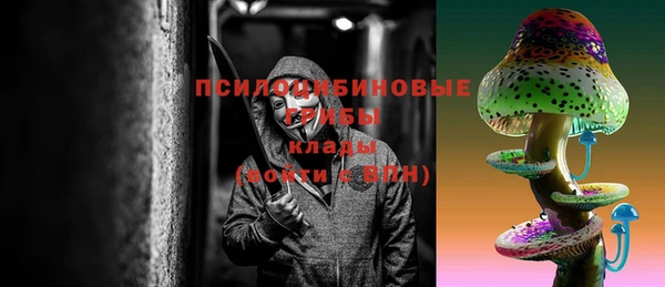 МДПВ Алексин