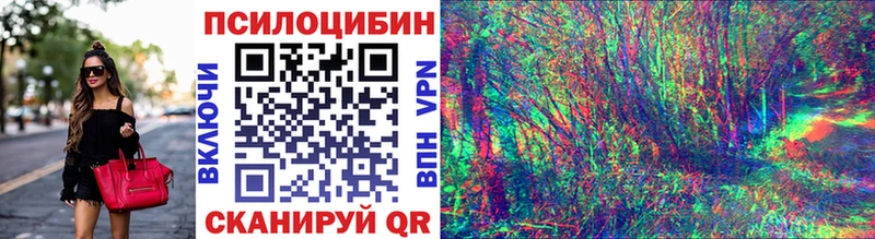Псилоцибиновые грибы Psilocybe  Сосенский 
